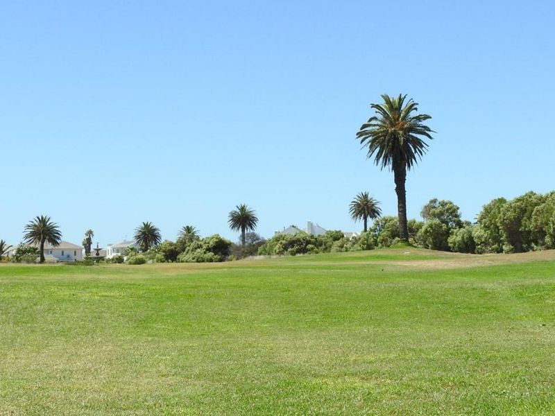 A scenic view of a well-maintained green lawn with mature palm trees and distant residential properties under a clear blue sky.