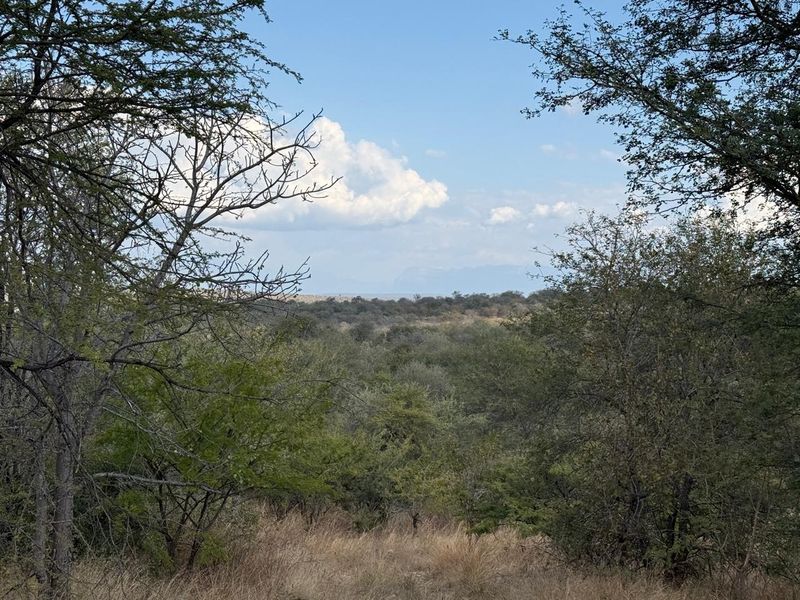 Boutique Farm in the Hoedspruit Area - Photo 6