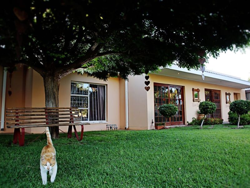 Excellent location -  A HOME for your family - Photo 8