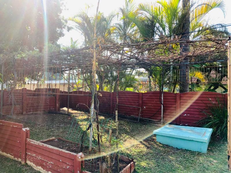A private garden area featuring a timber fence, a large overhead trellis structure, and raised garden beds, requiring maintenance and landscaping.