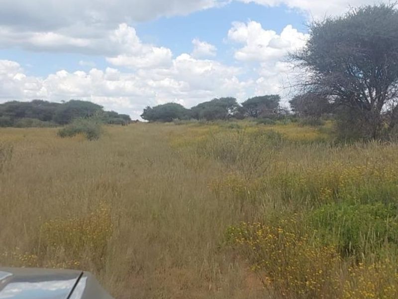 A view of the open agricultural land featuring native grasses and scattered trees under a cloudy sky.