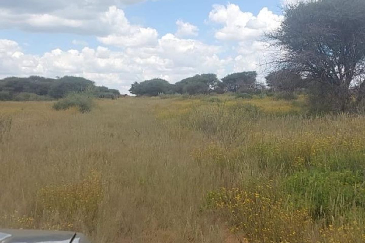 A view of the open agricultural land featuring native grasses and scattered trees under a cloudy sky.