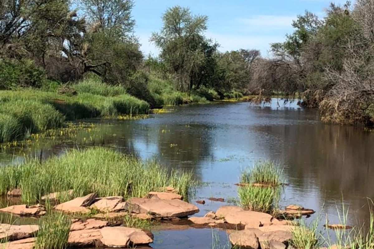 "Rare 7,750 Hectare Farm for Sale in Namibia!" - Photo 3