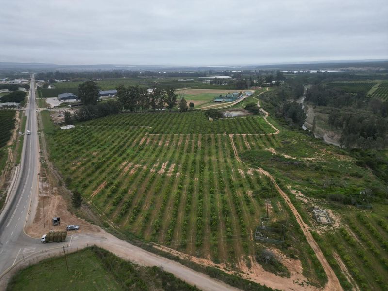 Aerial view of a large agricultural farm property featuring extensive orchards, access roads, and surrounding rural landscape.