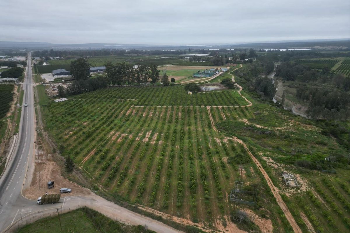 Aerial view of a large agricultural farm property featuring extensive orchards, access roads, and surrounding rural landscape.