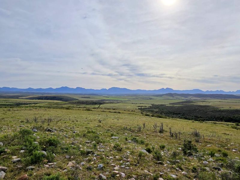 Prime 262ha Agricultural Farm for Sale Near Hartenbos - Photo 6