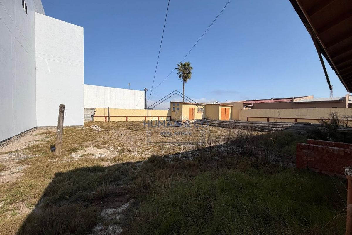 Rear yard area featuring a boundary wall and a small outbuilding, currently requiring significant landscaping and ground maintenance.