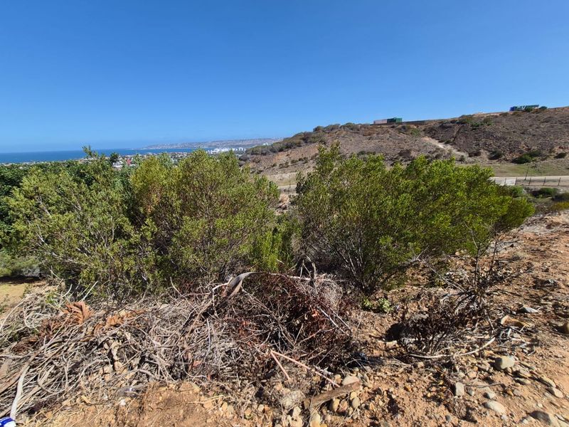 Prime Vacant Stand with Panoramic Ocean Views in Menkenkop, Hartenbos - Photo 6