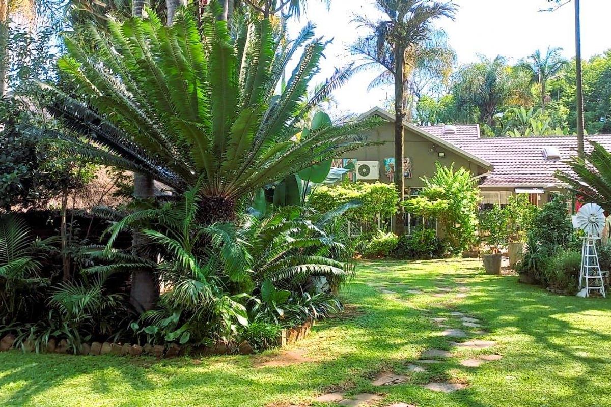 A lush, well-maintained garden featuring mature cycads, a stone pathway, and a view of the rear building elevation.