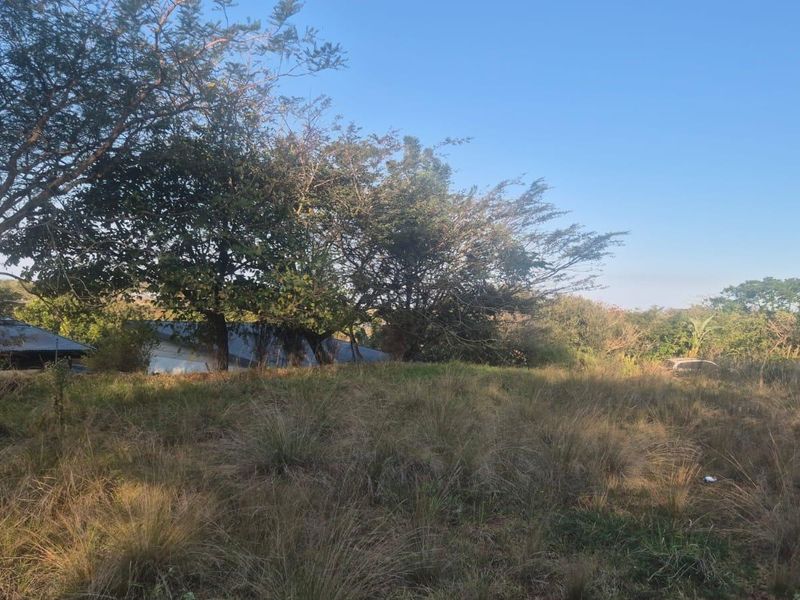 A view of a vacant residential plot featuring established trees and natural grass cover.