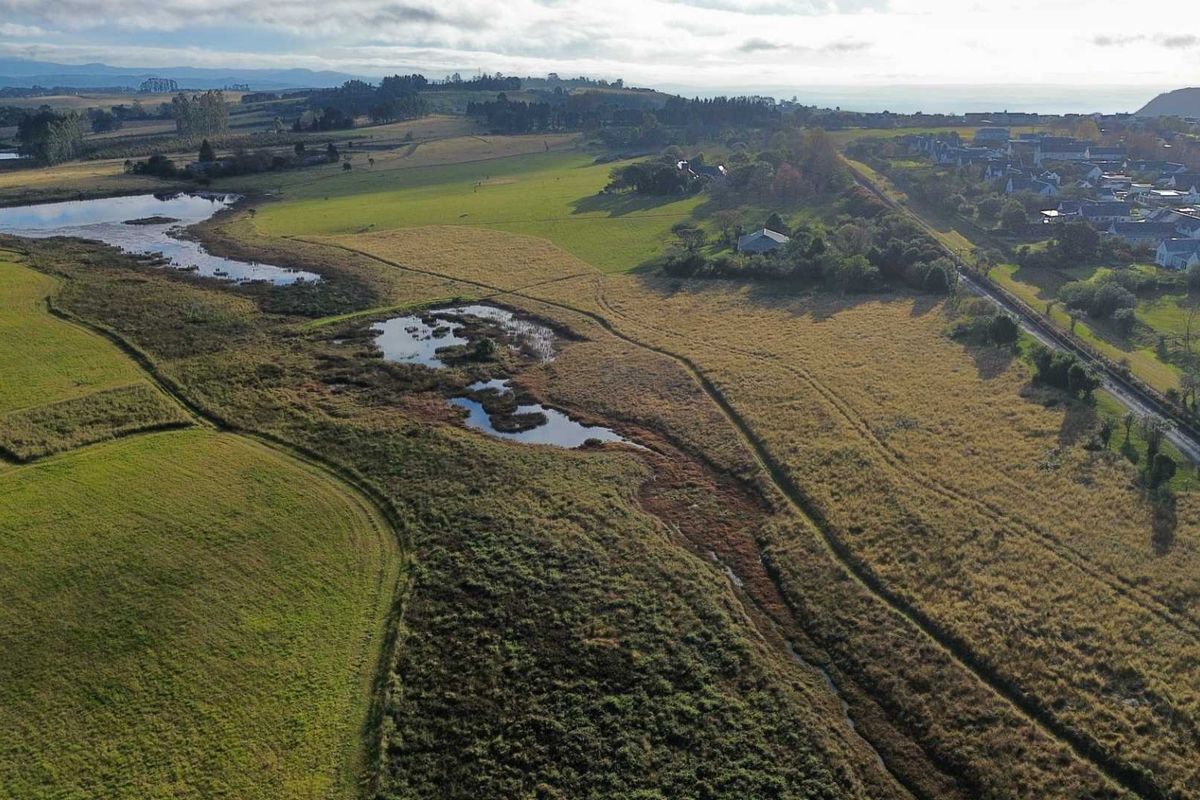 A Rare Opportunity to Own in the Exclusive Wedgwood Eco Estate Conservancy, Hilton - Photo 5
