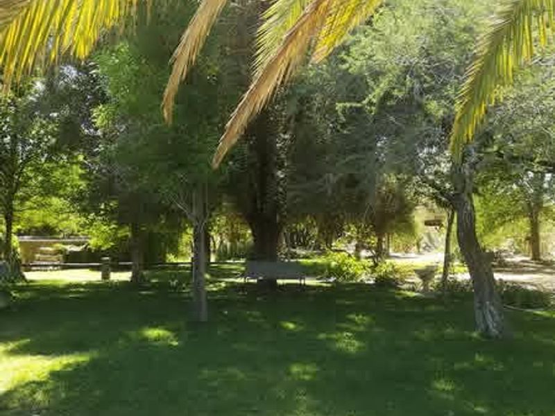 This smallholding is ideal for those seeking a blend of farming potential and a warm family lifestyle in the heart of Omaruru's natural beauty.✨️ - Photo 10