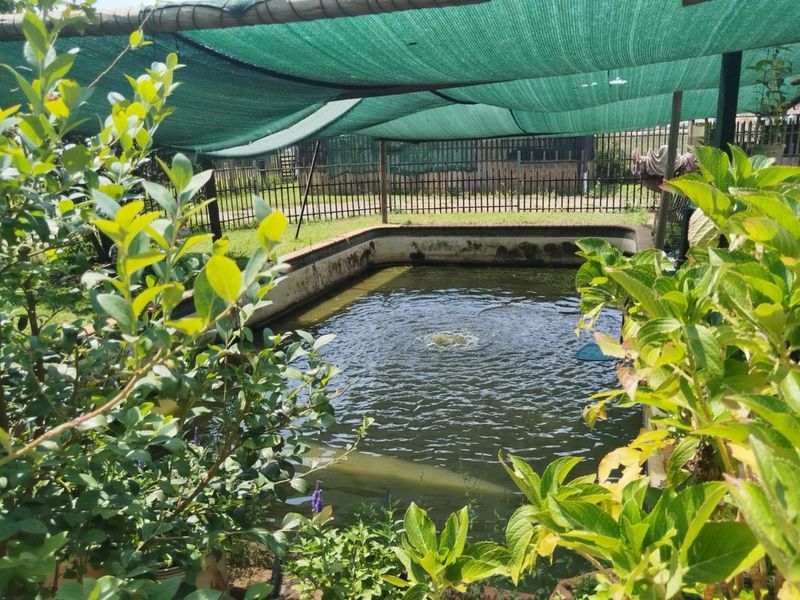 Prime Small Holding with Commercial Potential Next to Riverfields - Photo 7