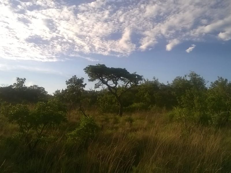 Vacant Land for Sale Cullinan - Photo 9