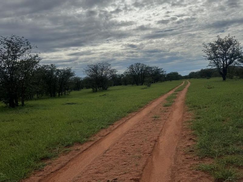 A scenic view of a rural farm property featuring a dirt track winding through open grassland and native trees under a cloudy sky.