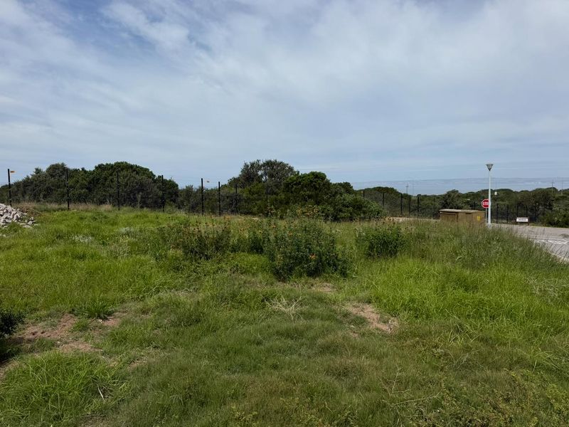 A vacant residential plot featuring natural grass cover, perimeter fencing, and direct access to the adjacent street.