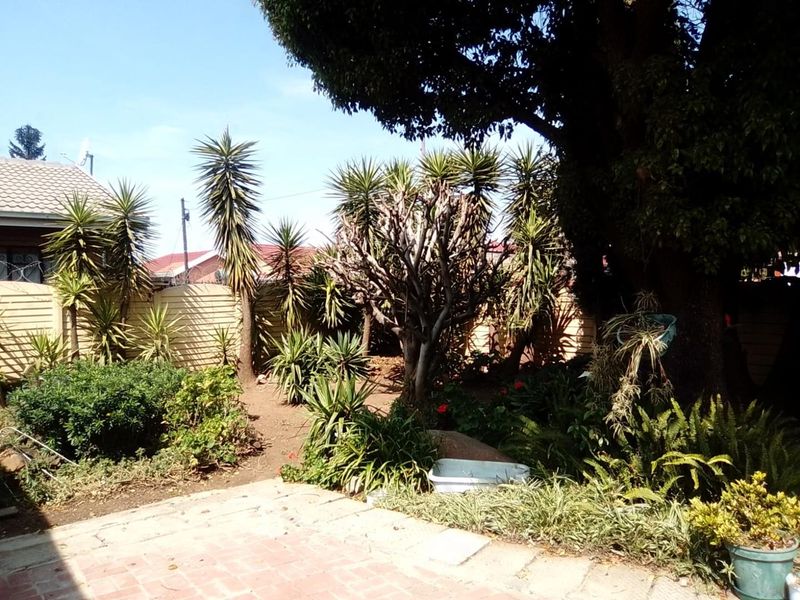A private rear garden featuring a paved patio area, established trees, and perimeter fencing, offering a quiet outdoor space.