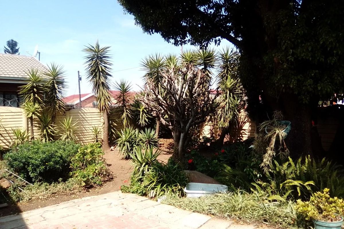 A private rear garden featuring a paved patio area, established trees, and perimeter fencing, offering a quiet outdoor space.