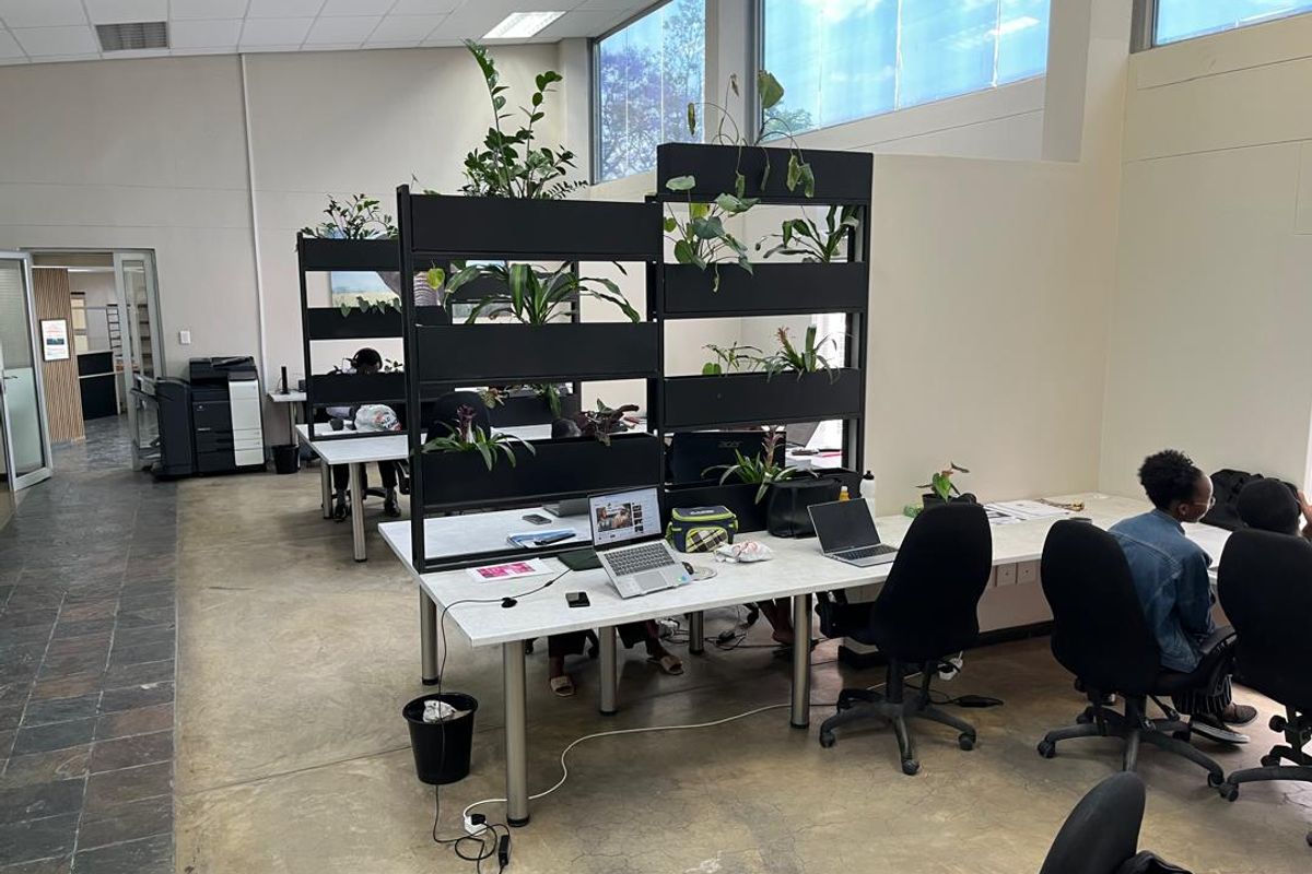 A bright, open-plan office space featuring high ceilings, large windows for natural light, and integrated workspace dividers.