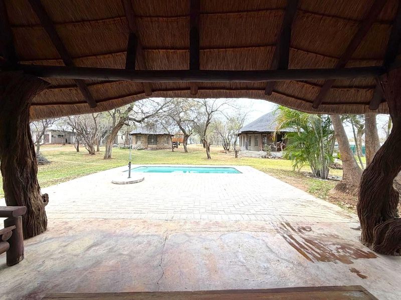 A covered thatched patio overlooking a swimming pool and garden area with mature trees and surrounding structures.
