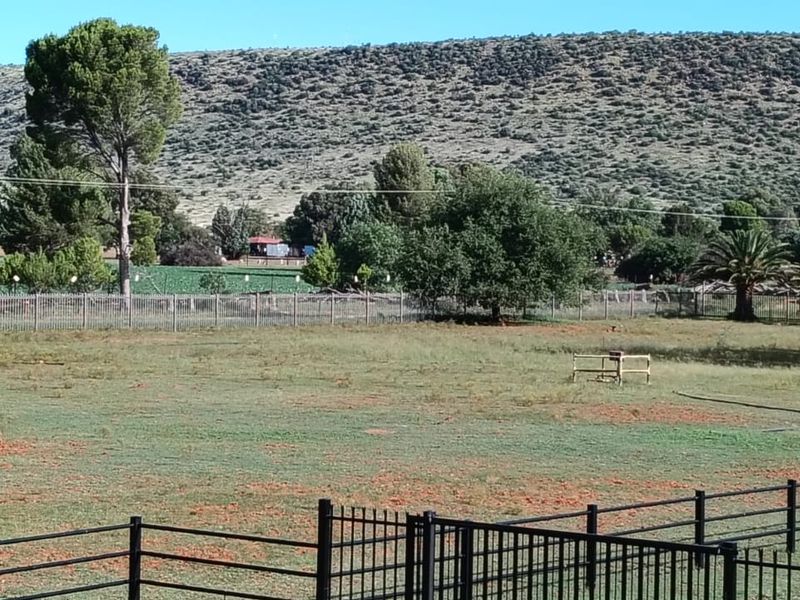 OUTSTANDING SMALL HOLDING. CAN BE USED FOR,GUESTHOUSE,ANY BUSINESS. ANY FARMING,LOTS OF WATER. - Photo 4