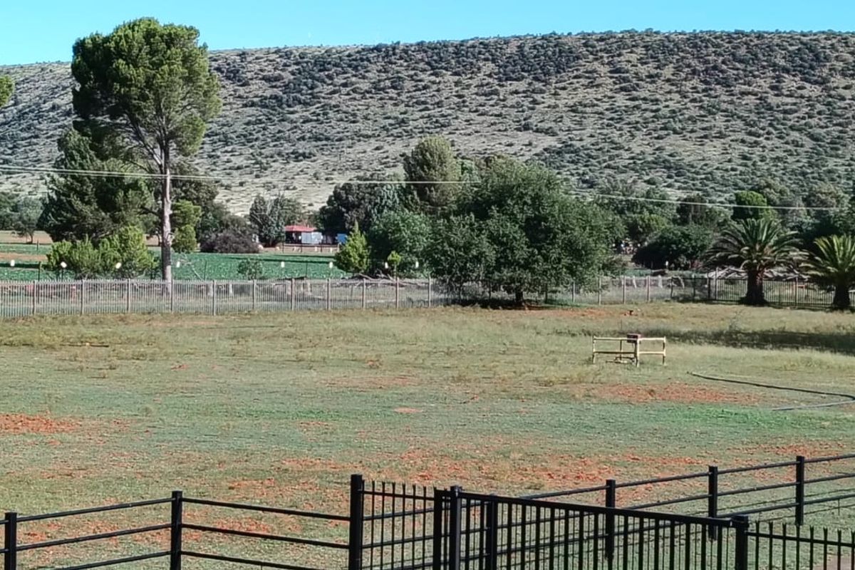 OUTSTANDING SMALL HOLDING. CAN BE USED FOR,GUESTHOUSE,ANY BUSINESS. ANY FARMING,LOTS OF WATER. - Photo 4