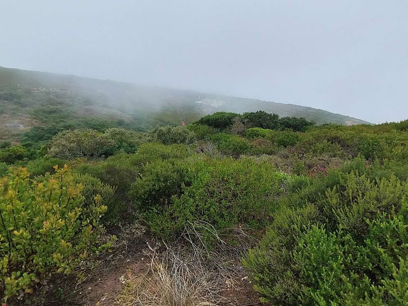 Exclusive Oppertunity - 1813m2 Vacant Land in Paradise Coast Eco Estate - Photo 5