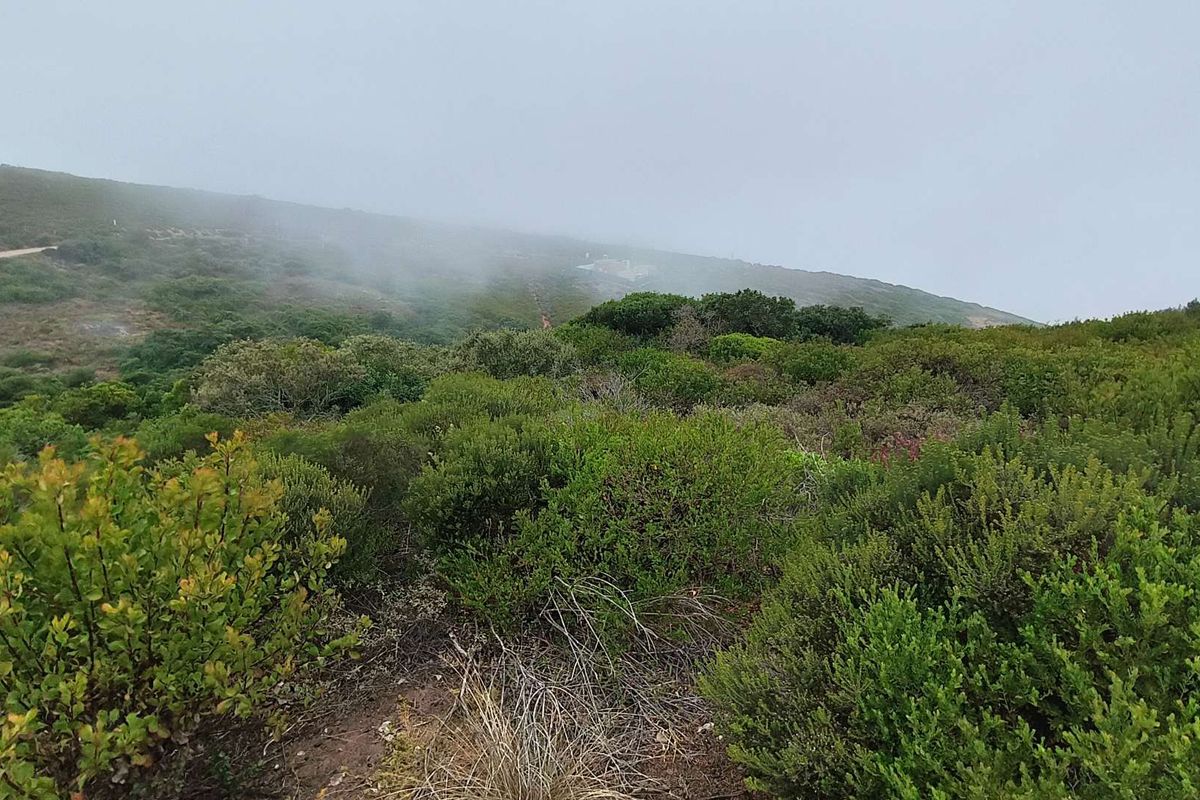 Exclusive Oppertunity - 1813m2 Vacant Land in Paradise Coast Eco Estate - Photo 5