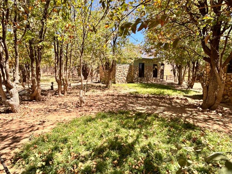 Prime Eco-Lodge Investment - Photo 3