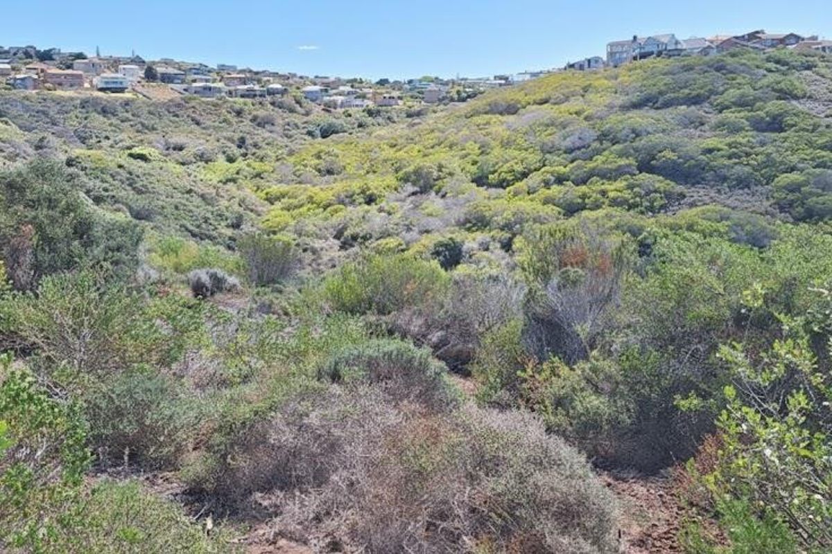 1025m2 Vacant land with Beautiful Ocean View for Sale in Dana Bay - Photo 5