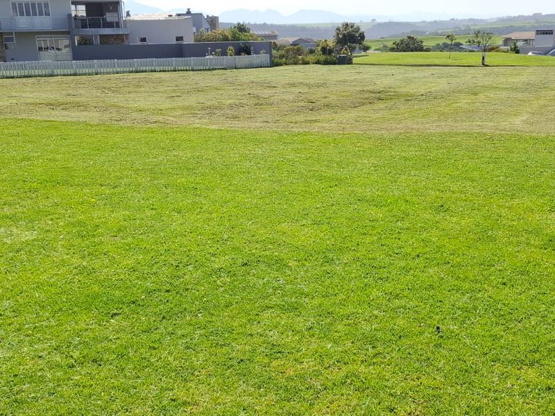 A spacious, well-maintained residential vacant plot featuring a level lawn area with surrounding neighborhood views.