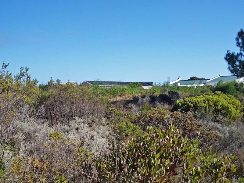 Level Stand, Lagoon Nearby, Lifestyle Sorted. - Photo 3