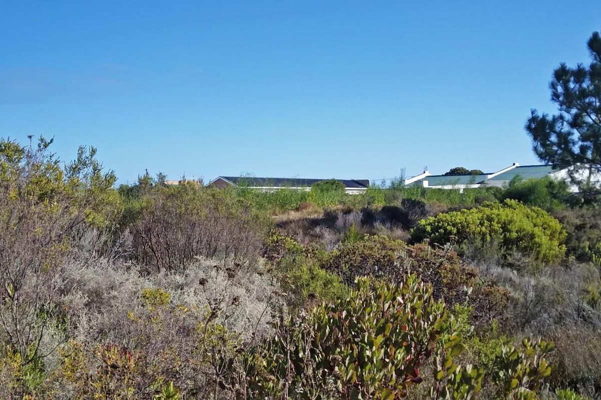 Level Stand, Lagoon Nearby, Lifestyle Sorted. - Photo 3