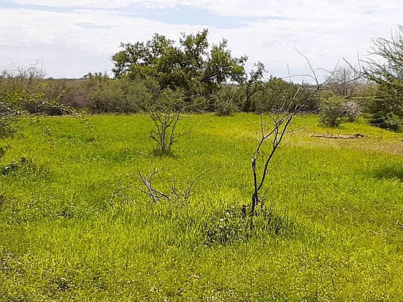 Farm For Sale - Photo 5