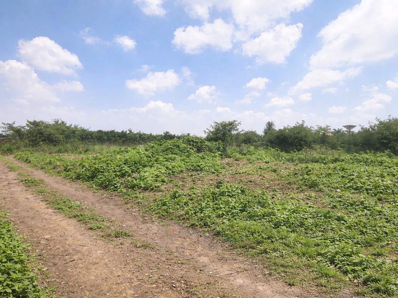 Vacant Land For Sale - Photo 6