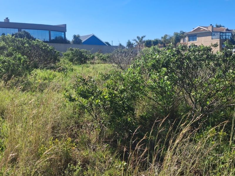 A vacant residential plot featuring natural vegetation and surrounding boundary walls in an established neighborhood setting.