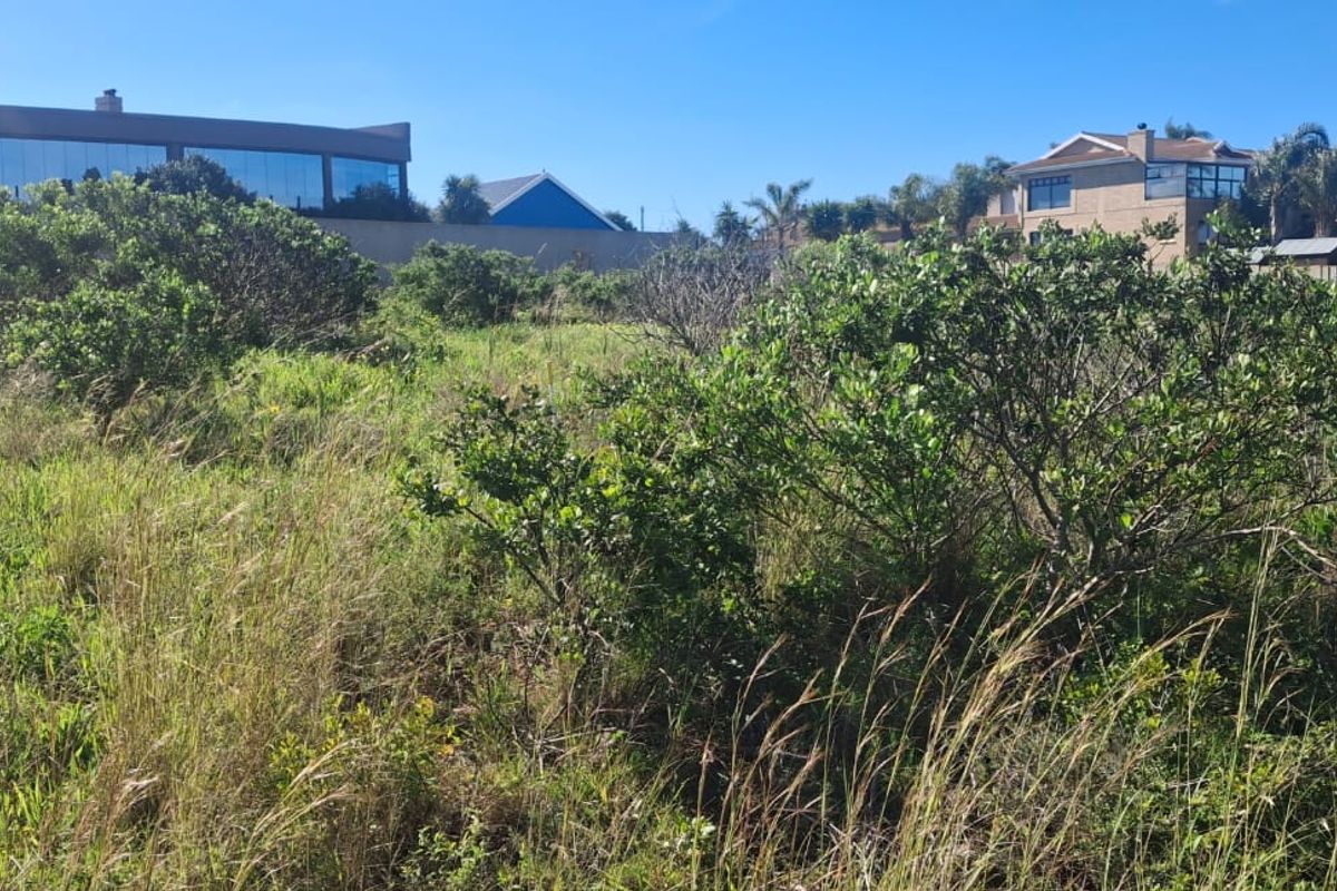 A vacant residential plot featuring natural vegetation and surrounding boundary walls in an established neighborhood setting.