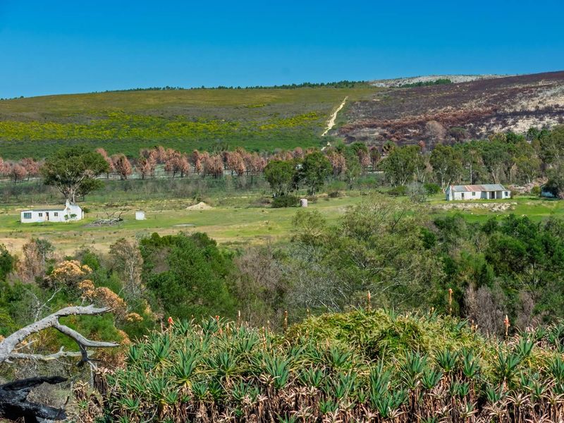 Crop Farm with Registered Irrigation Rights - Photo 8