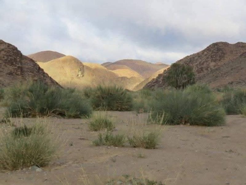 Spacious game farm in the far South of Namibia – perfectly located 266km from Keetmanshoop in the direction of Noordoewer, and only 20km from the main road. - Photo 8