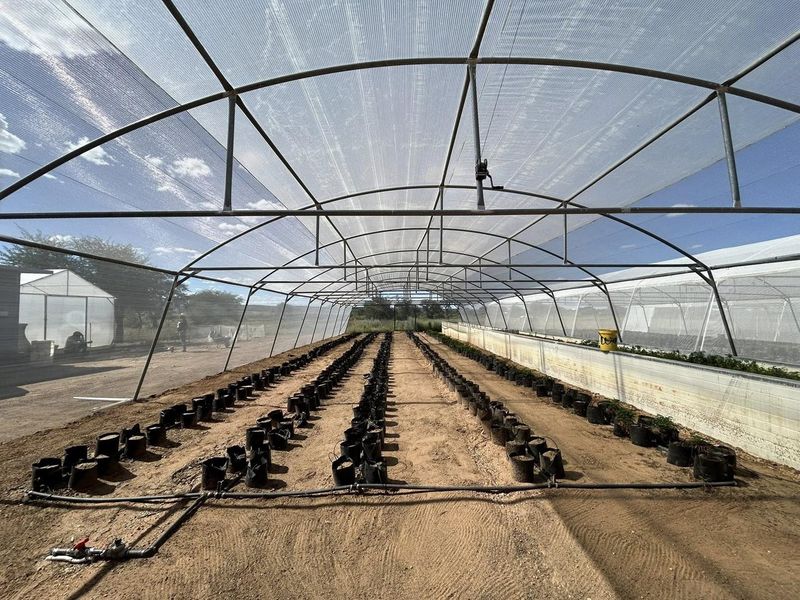 Welcome to a unique smallholding situated approximately 36 km east of Windhoek - Photo 2