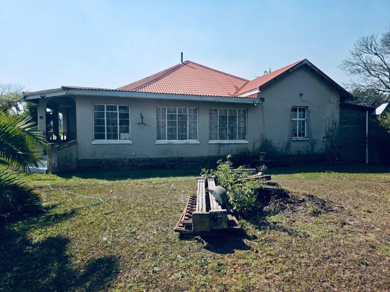 Rear view of a single-story house featuring a corrugated metal roof, steel-framed windows, and a covered patio area set within a large garden.