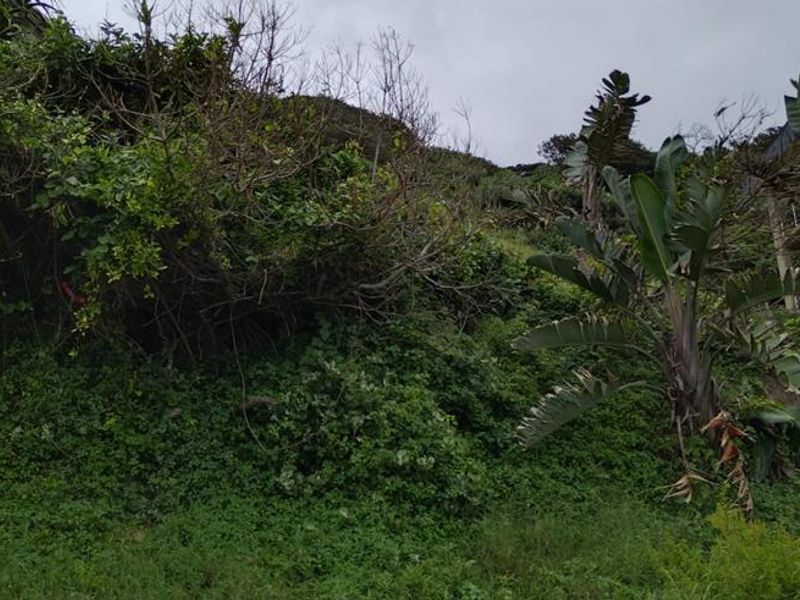 Investor Dream Land - Photo 5