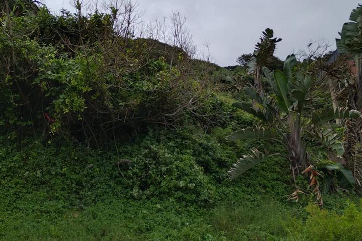 Investor Dream Land - Photo 5