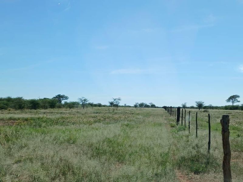 Farm For Sale - Photo 4
