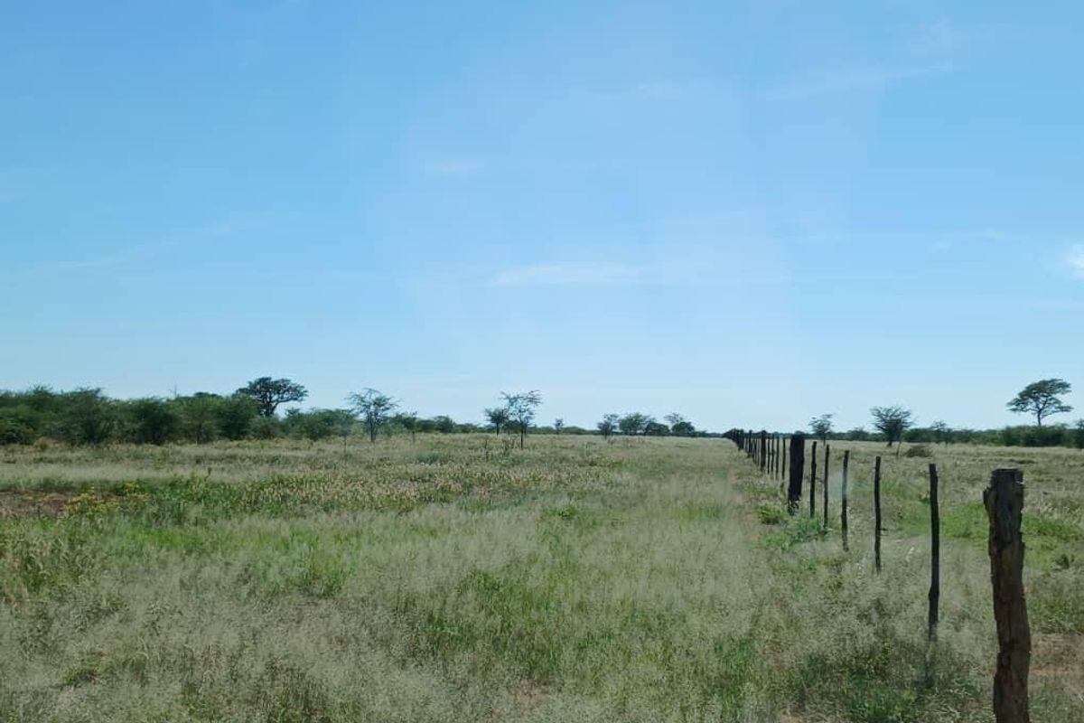 Farm For Sale - Photo 4