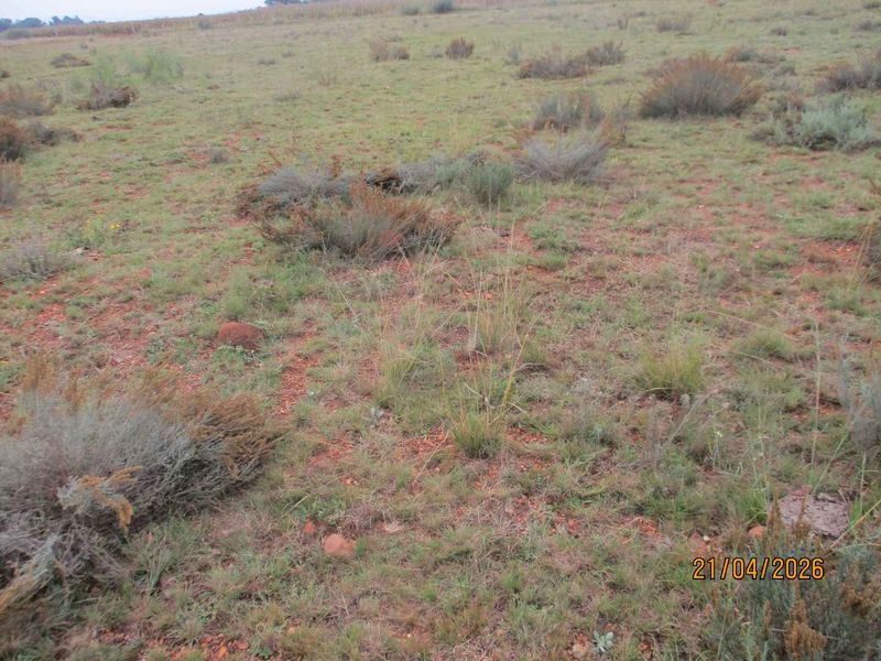 Enjoy the tranquility of Henley - Photo 9