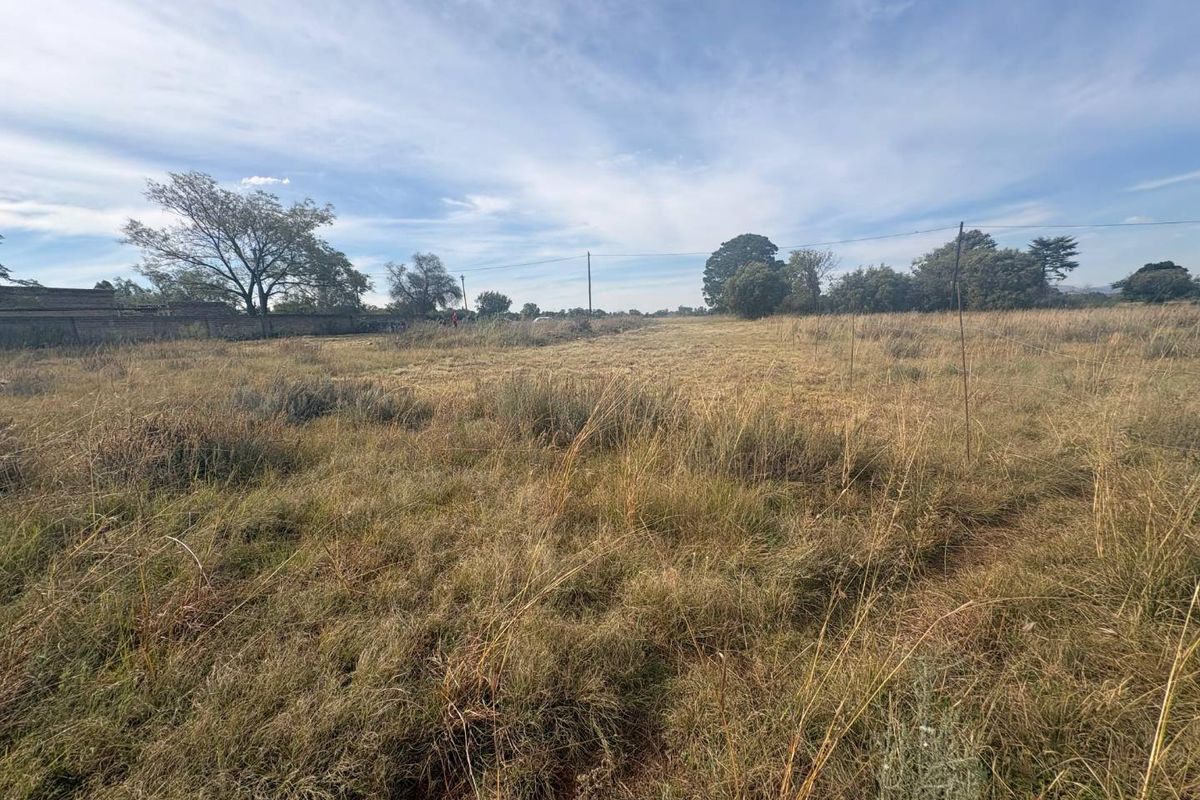 Prime Vacant Land in Sought-After Henley on Klip - Photo 5