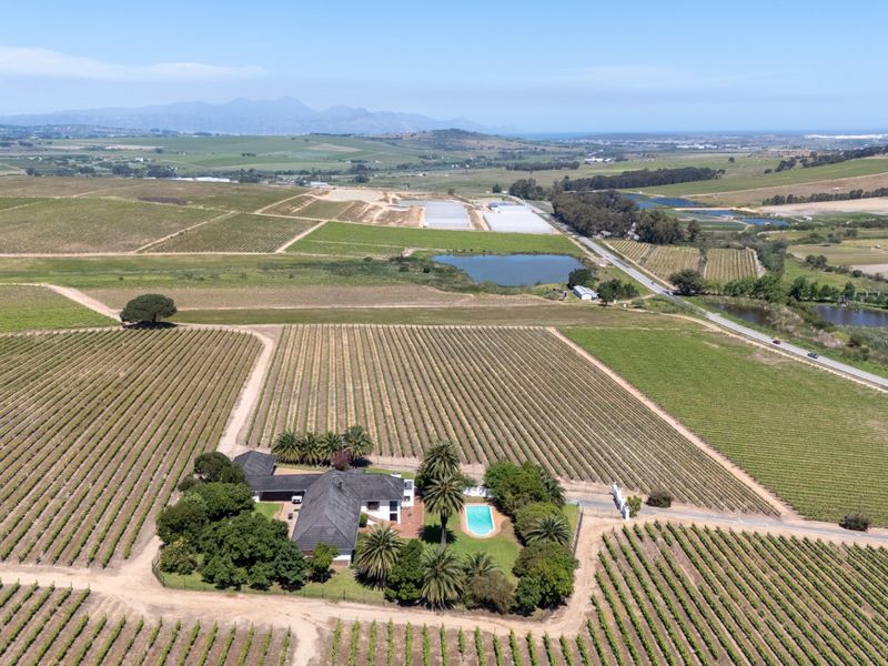 Aerial view of a sprawling farm estate featuring a main residence, swimming pool, and extensive surrounding vineyards with scenic landscape views.