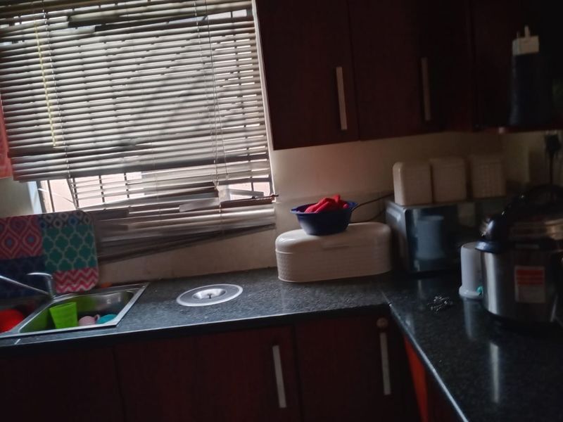 3 BEDROOMS HOUSE IN OLIEVENHOUTBOS 36 - Photo 7