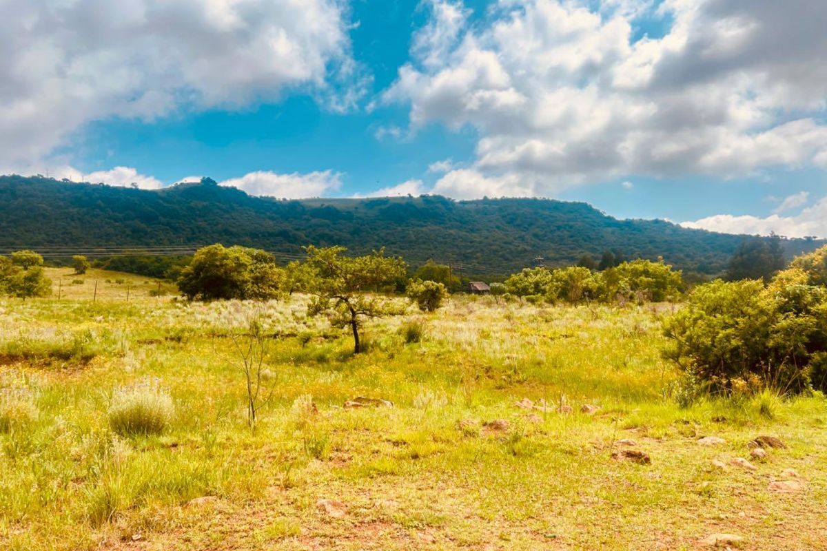 Vacant site for sale - Photo 3